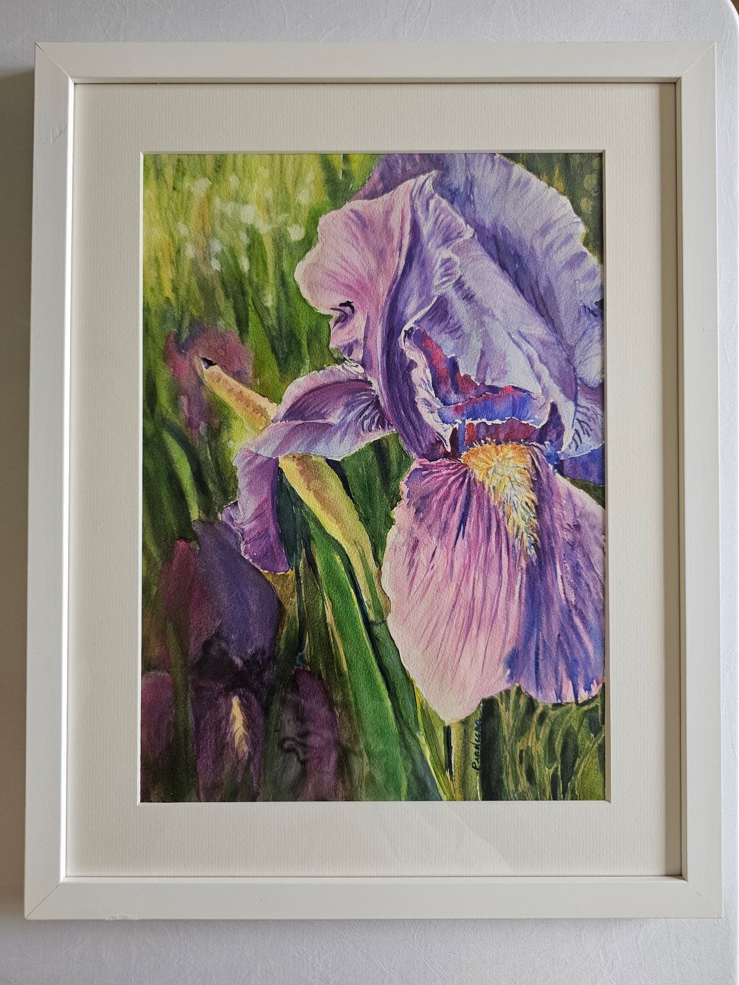 IRIS - Original Watercolour Painting 30x40 cm approx.