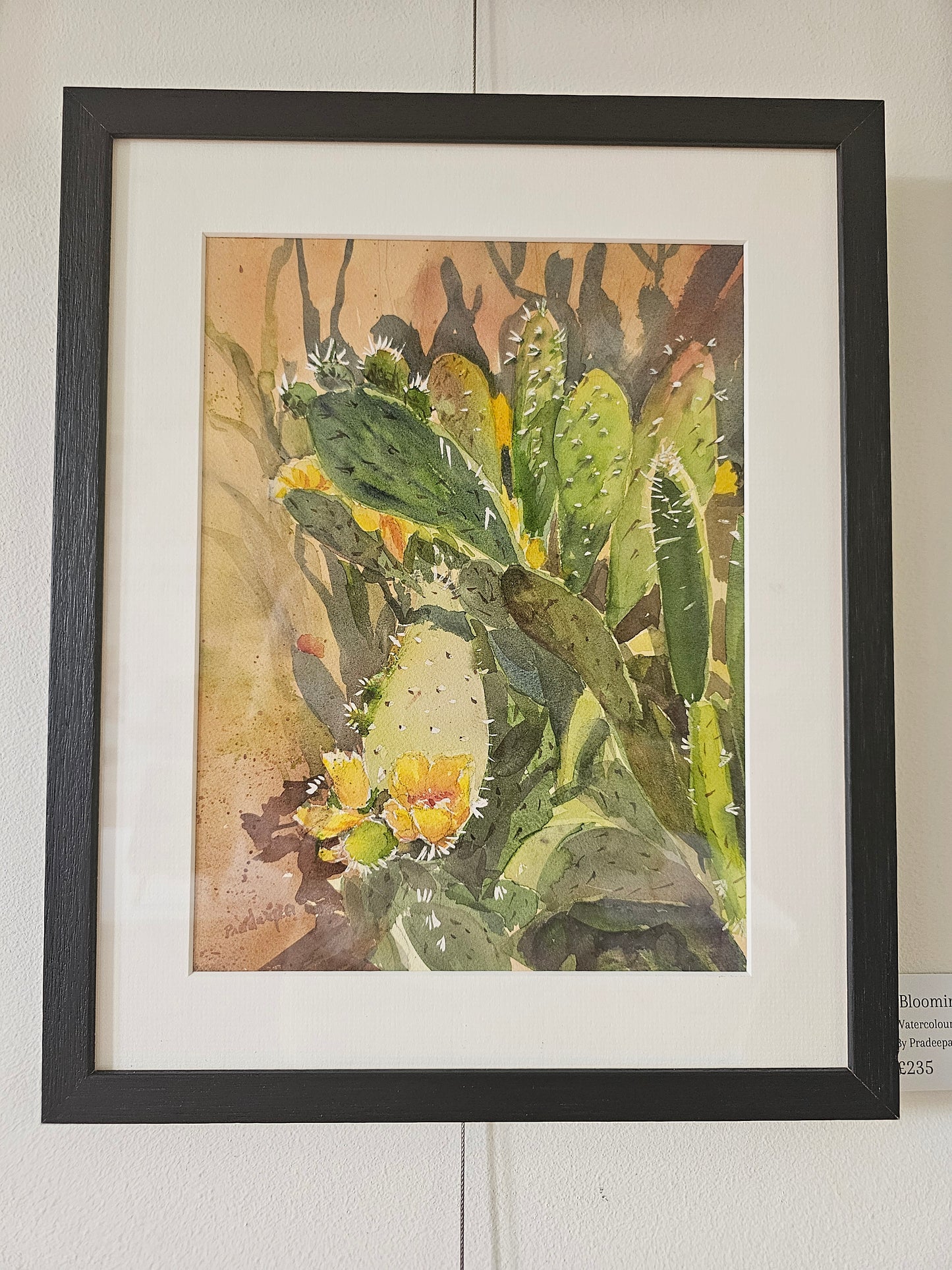 Blooming In The Desert - Original Watercolour Painting, 31 x 23 cm (approx)
