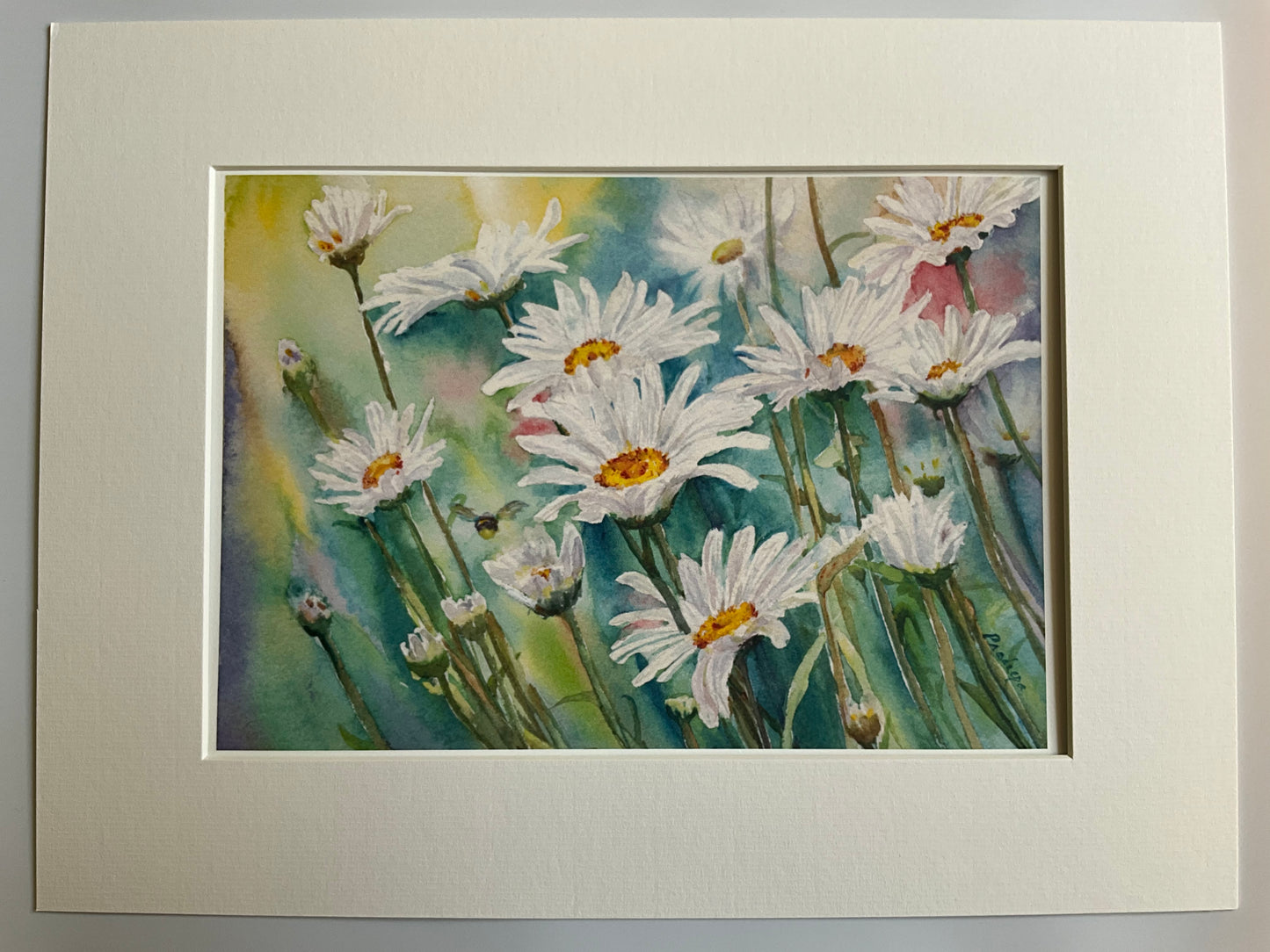 Daisy-ing In Summer - Limited edition print