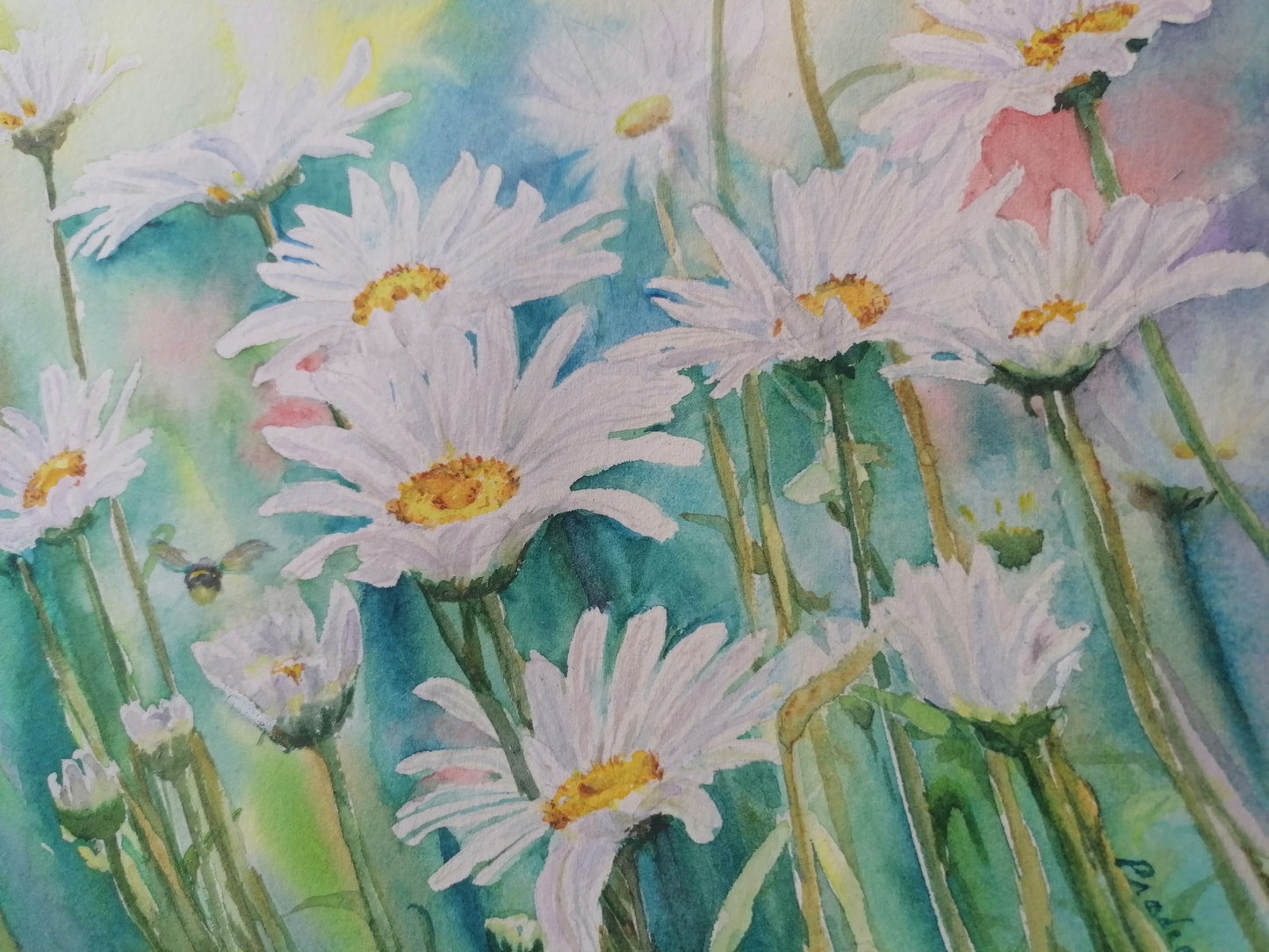 Daisy-ing In Summer- Original Watercolour Painting