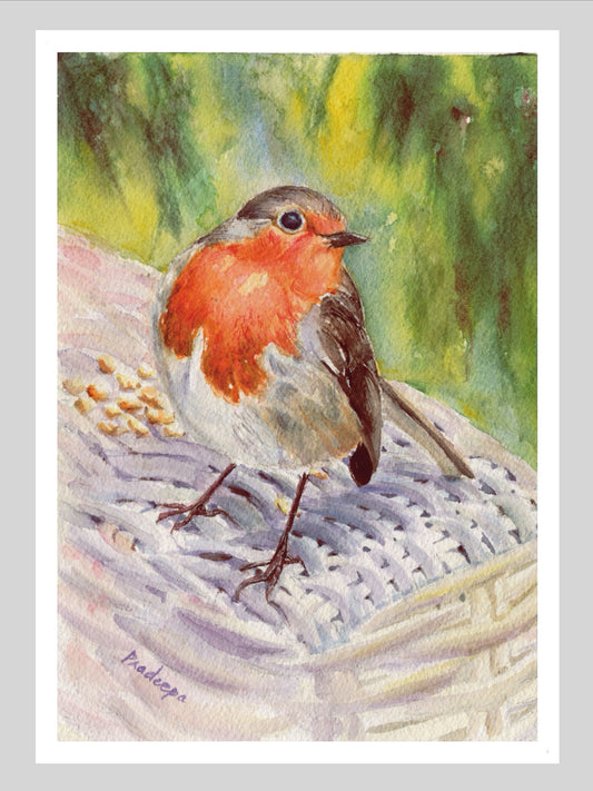 Limited edition Robin print- A4, signed