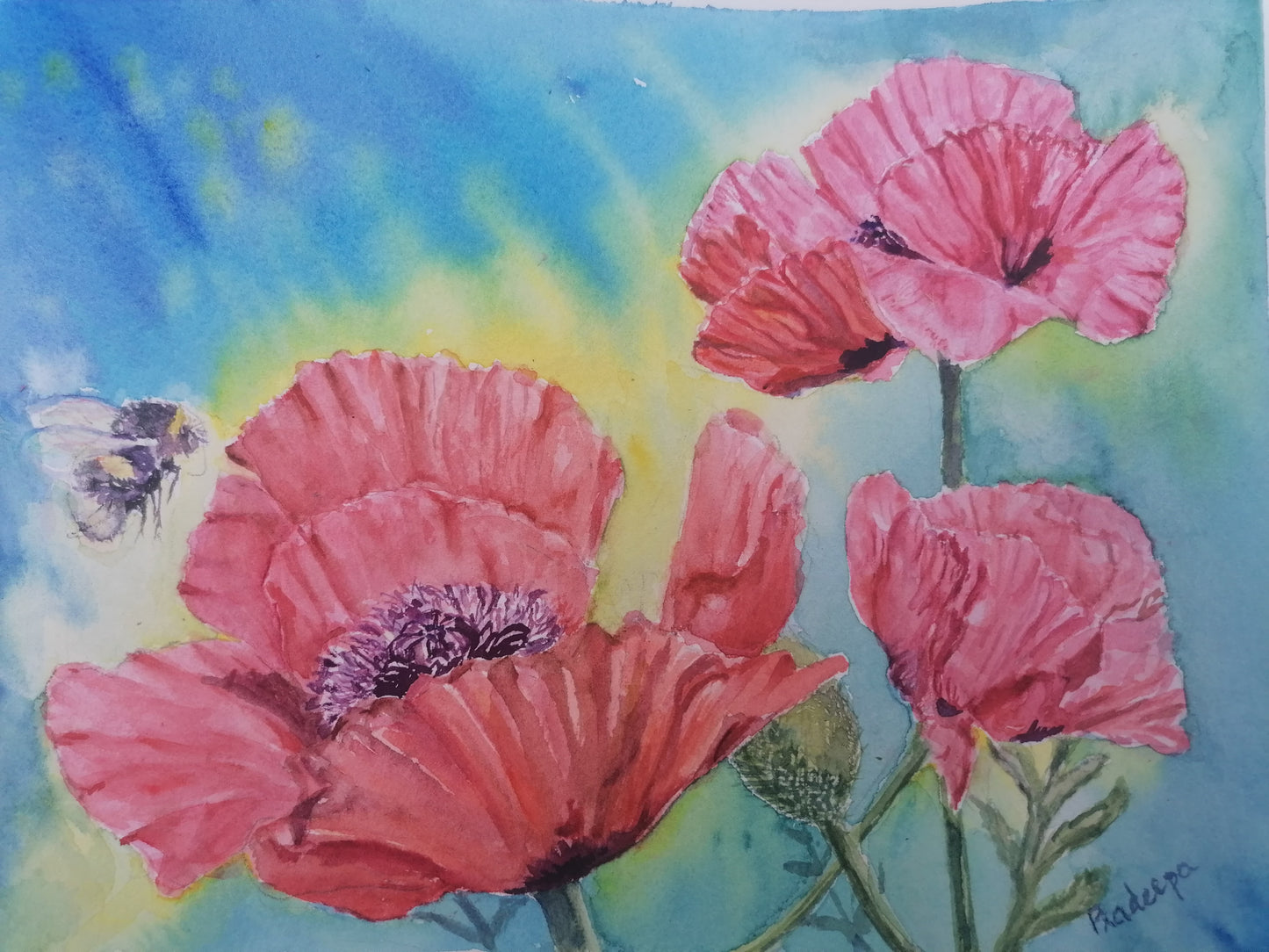 Delicious Poppies- Original Watercolour Painting