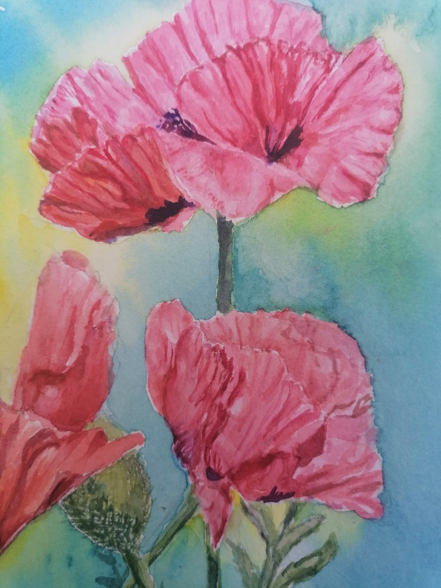 Delicious Poppies- Original Watercolour Painting