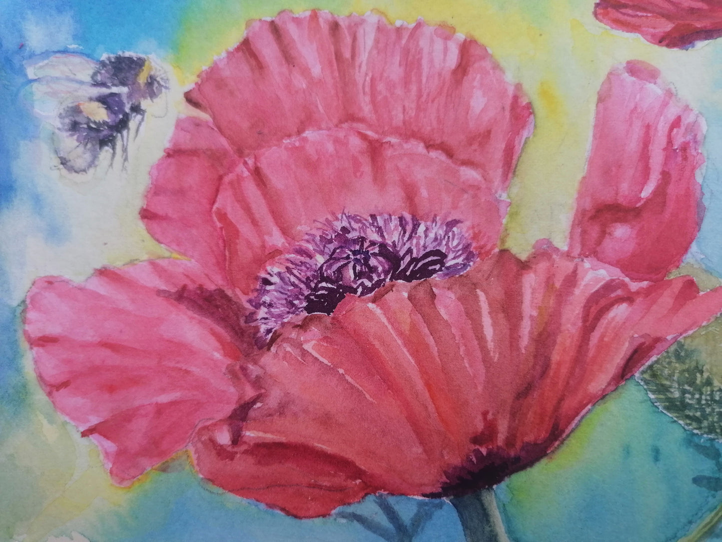 Delicious Poppies- Original Watercolour Painting