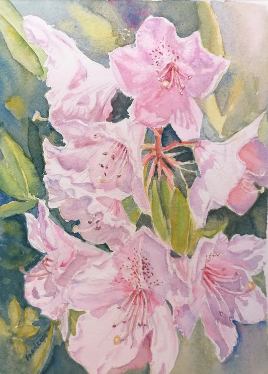 Rhododendrons Under The Sun- Original Watercolour Painting