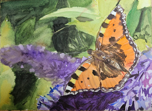 Butterfly Watercolour Workshop- Fri 12 Sept - 7 pm