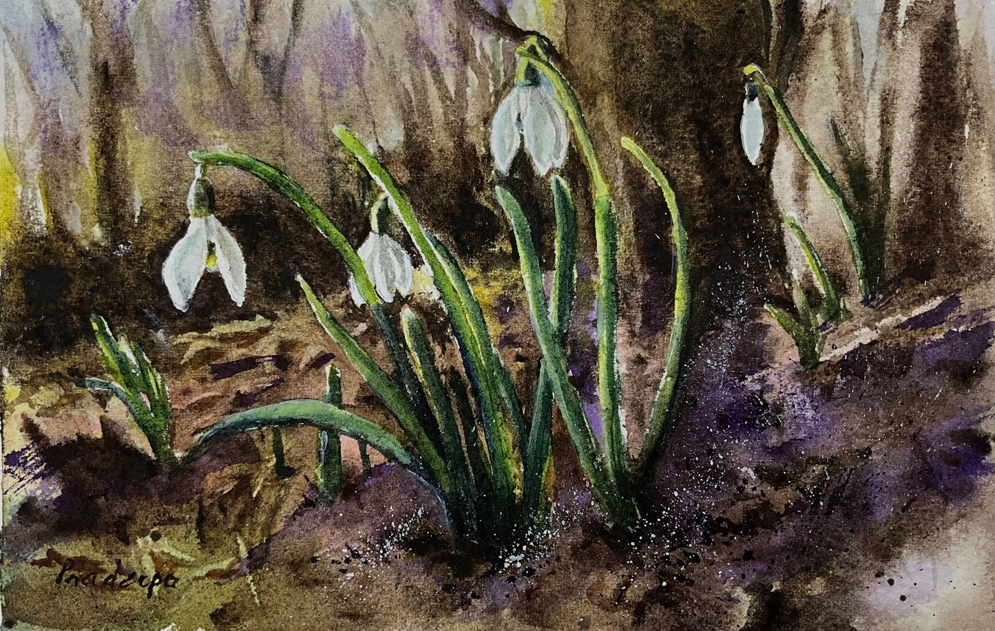White Drops of Spring - original watercolour painting