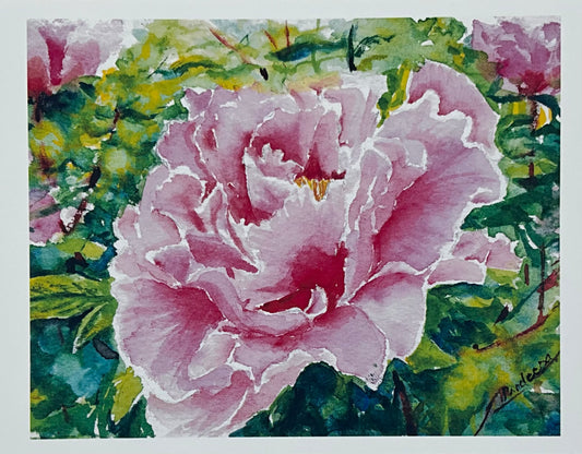 Peony for the soul- 8x10 inch fine art prints- signed & limited edition