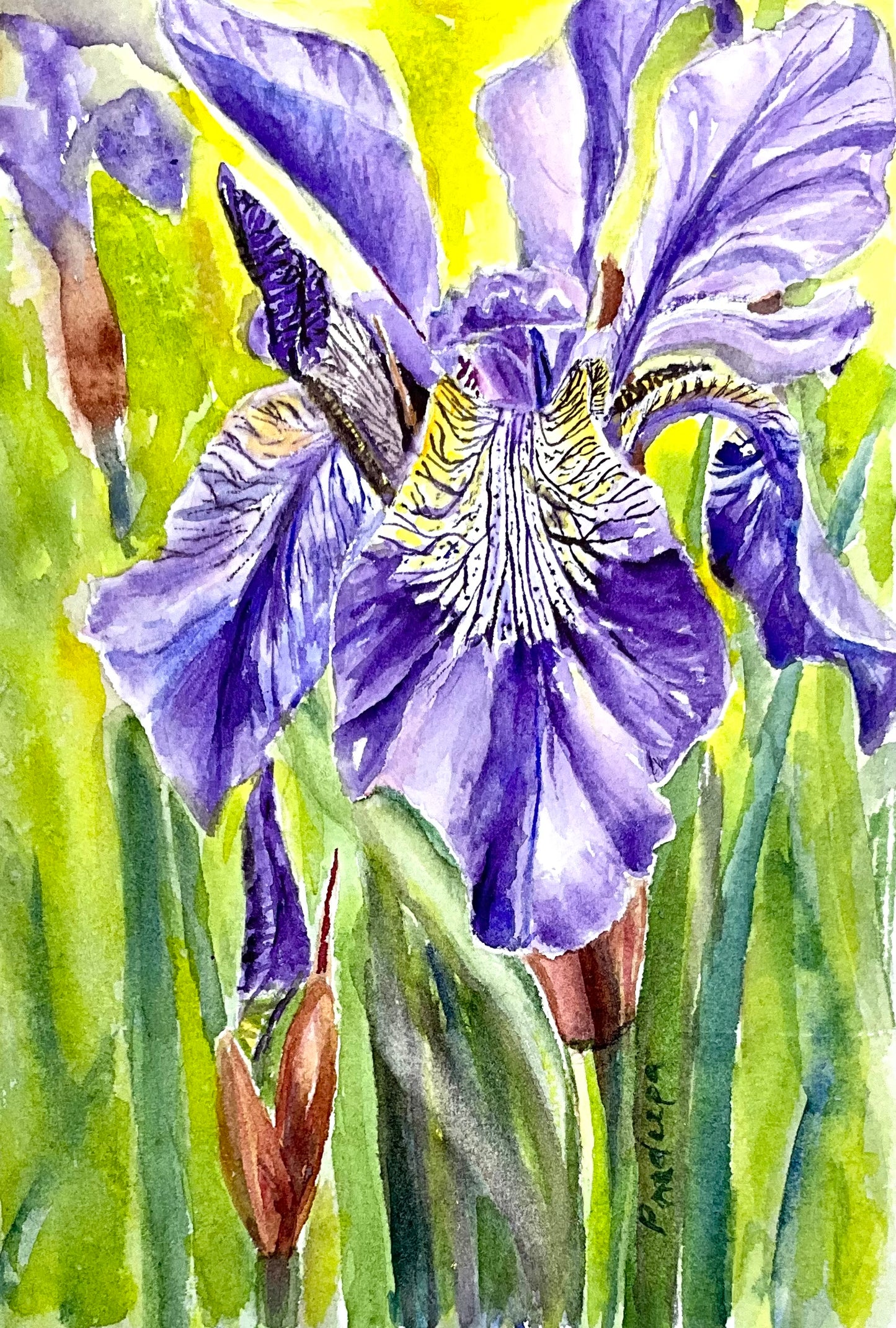 The Beauty of Iris - original watercolour painting