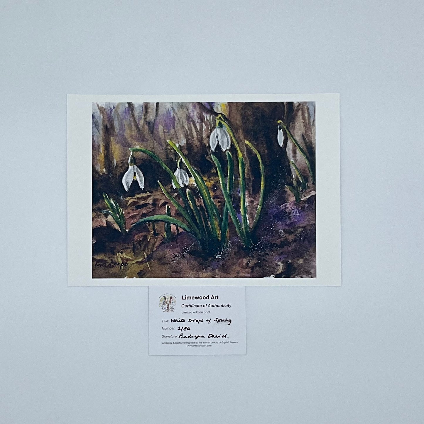 White Drops of Spring- 8x10 inch fine art print- signed & limited edition