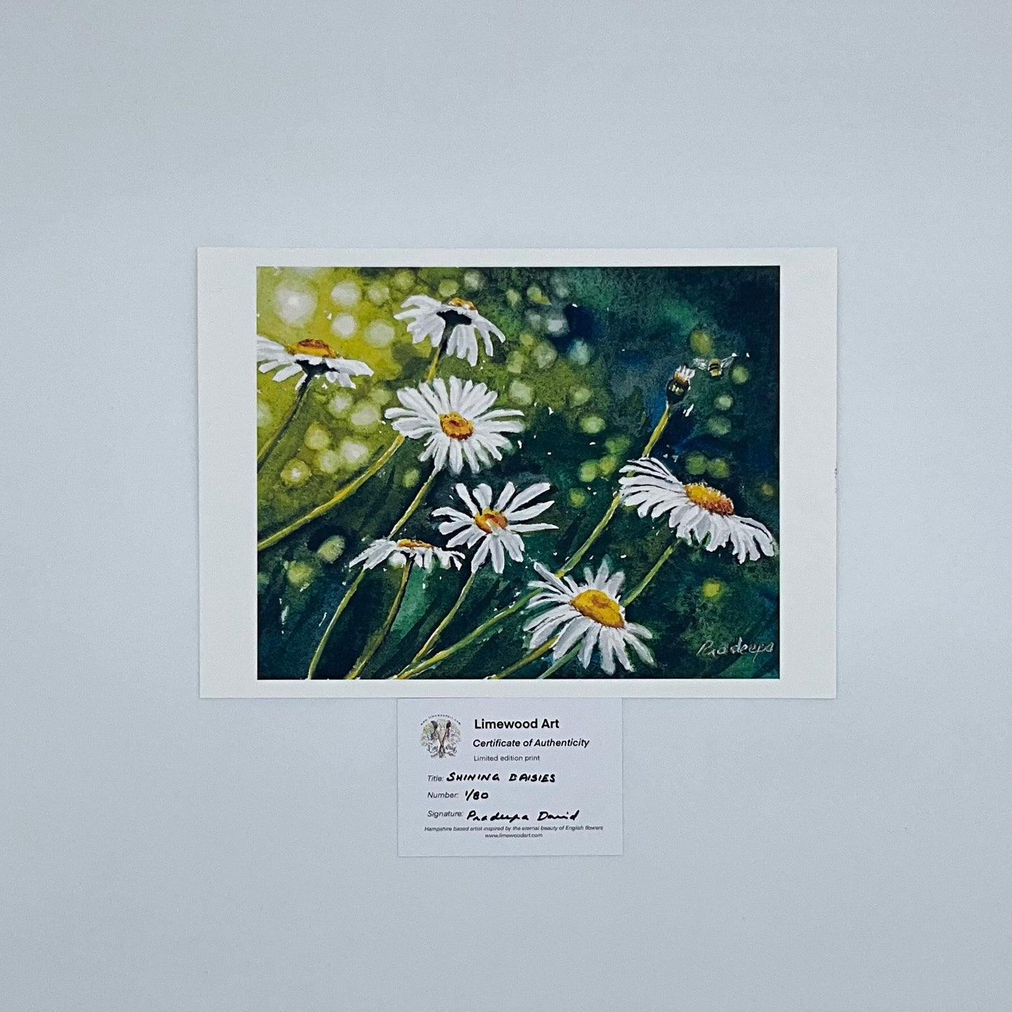 Shining Daisies -8x10 inch fine art print- signed &limited edition