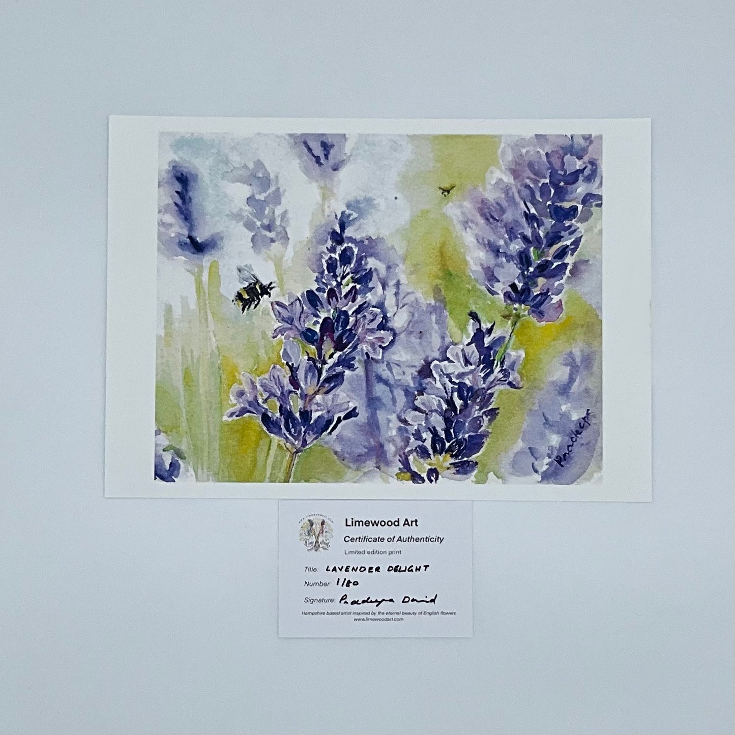 Lavender Delight- 8x10 inch fine art print- signed & limited edition