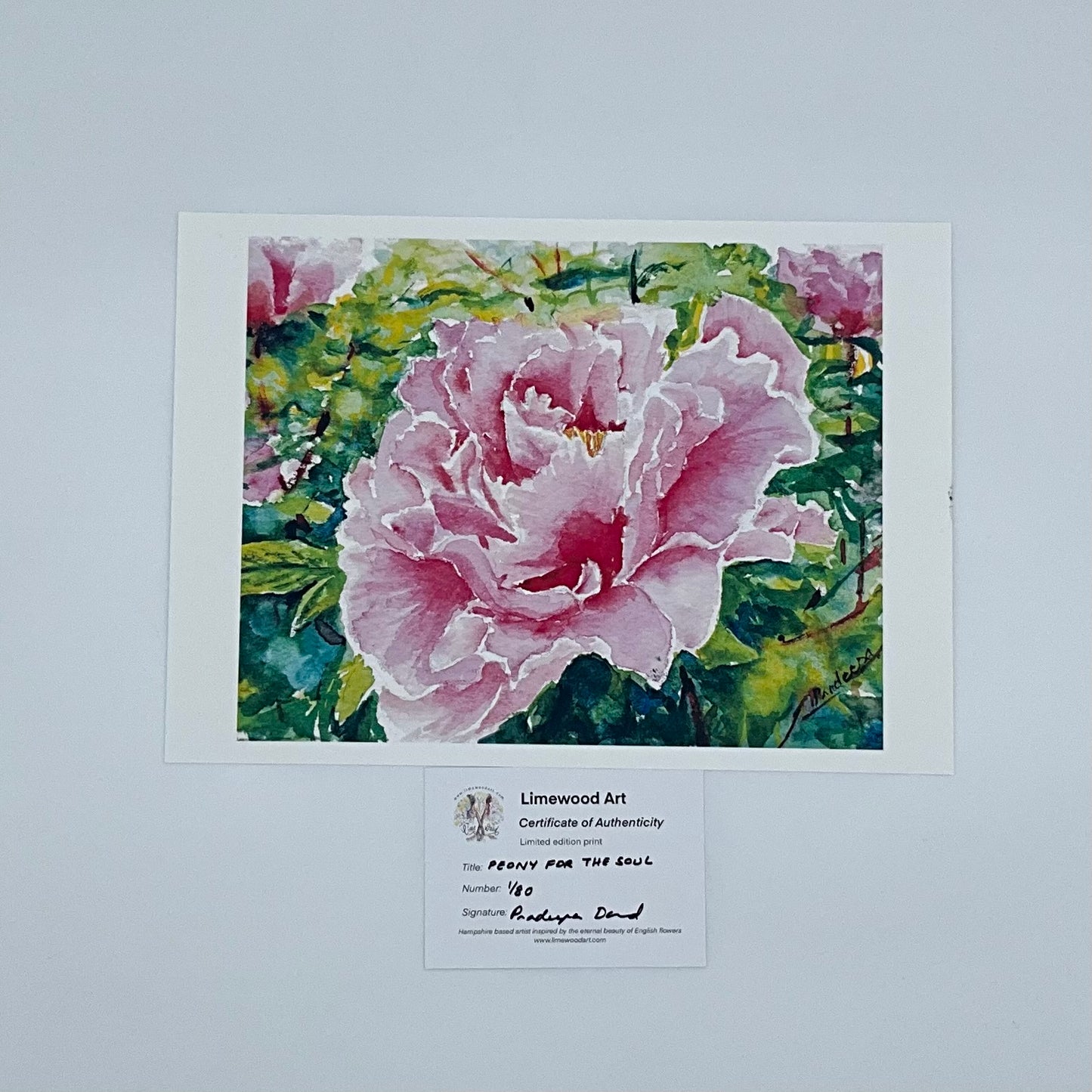 Peony for the soul- 8x10 inch fine art prints- signed & limited edition