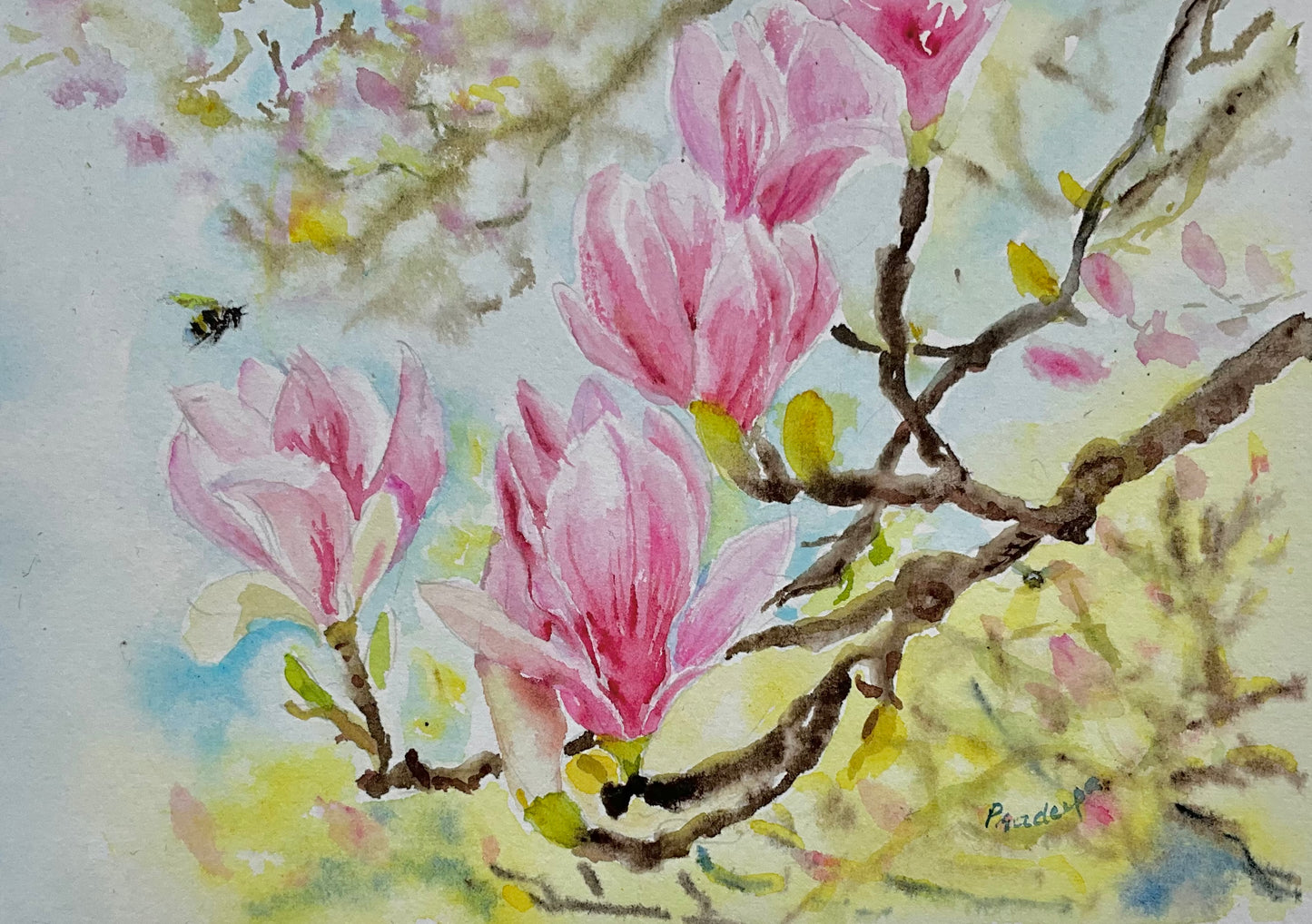 Buzzing around Magnolias- original watercolour painting