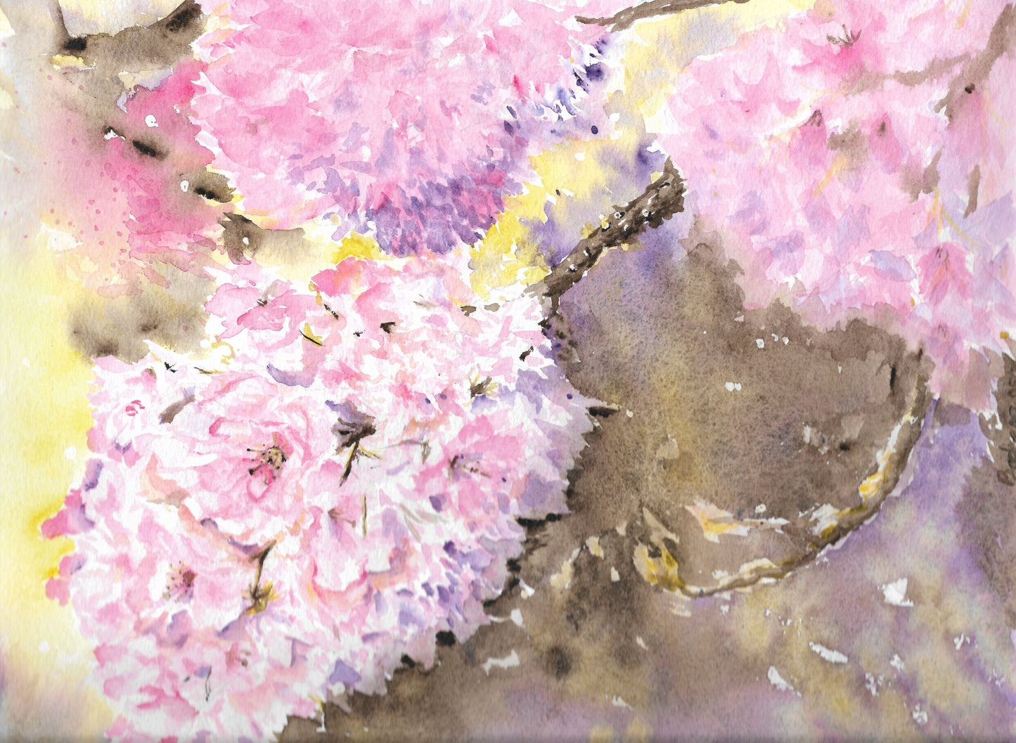 Cherry Blossoms - Original Watercolour Painting