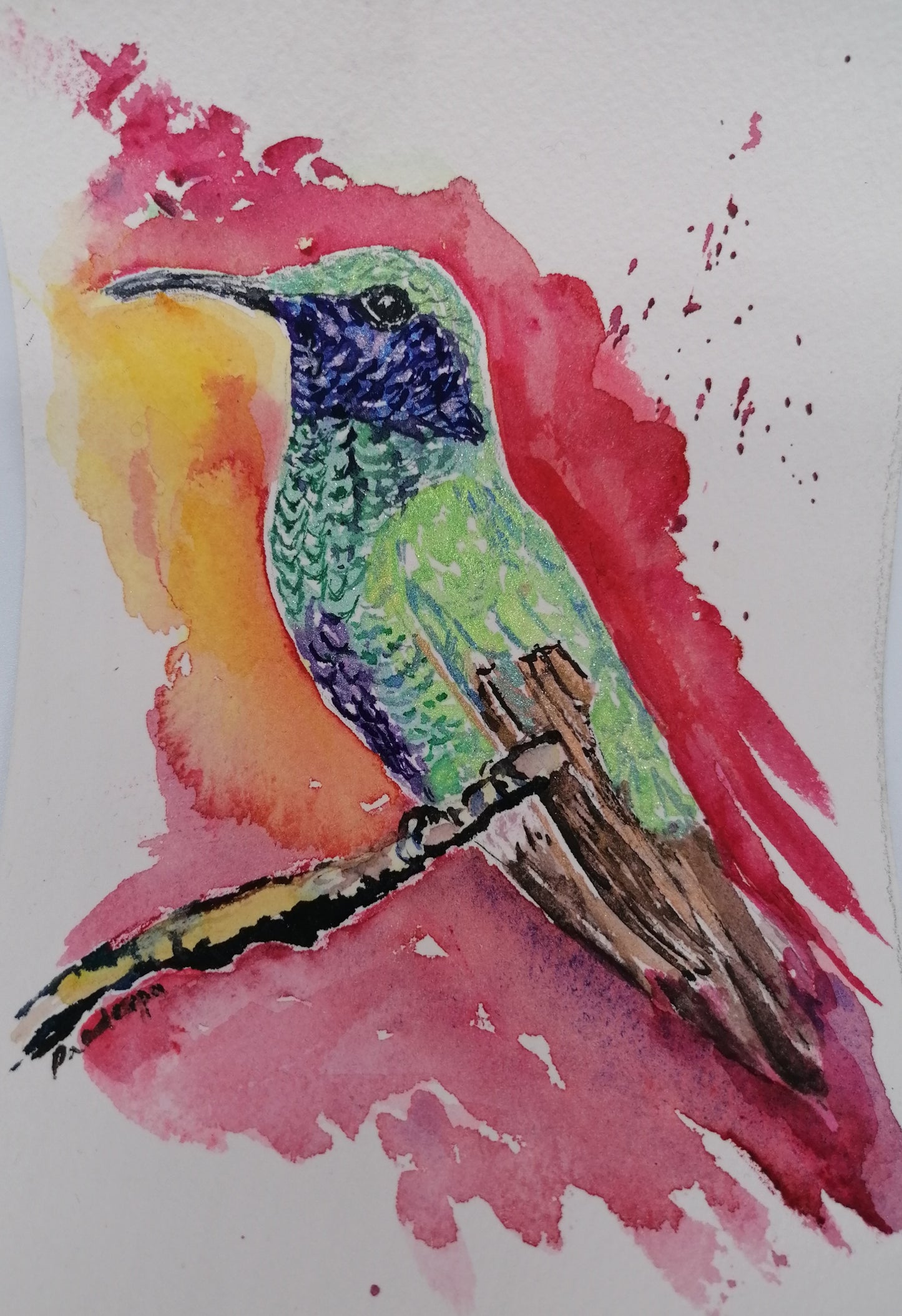 Humming Colourfully- Original watercolour painting