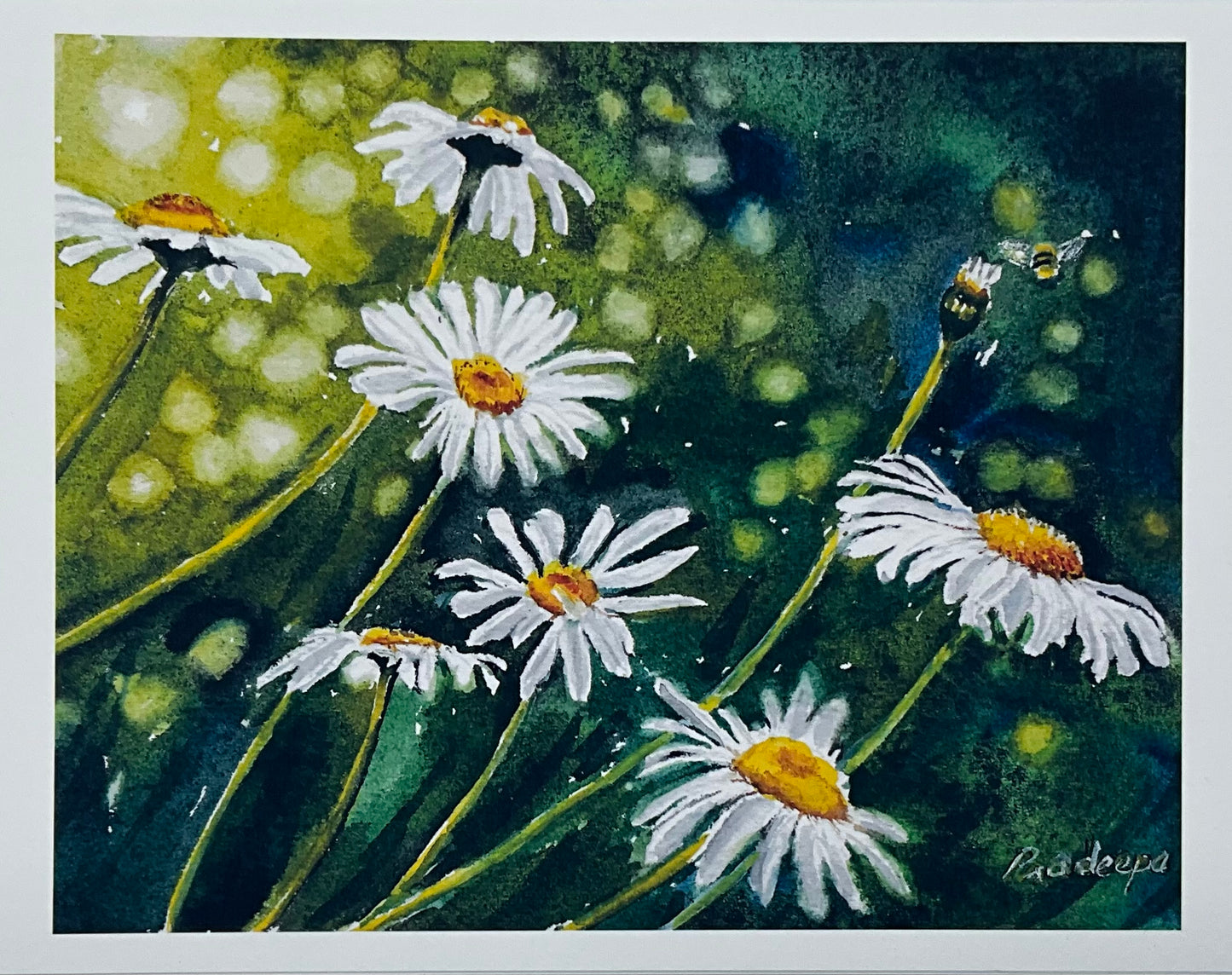 Shining Daisies -8x10 inch fine art print- signed &limited edition