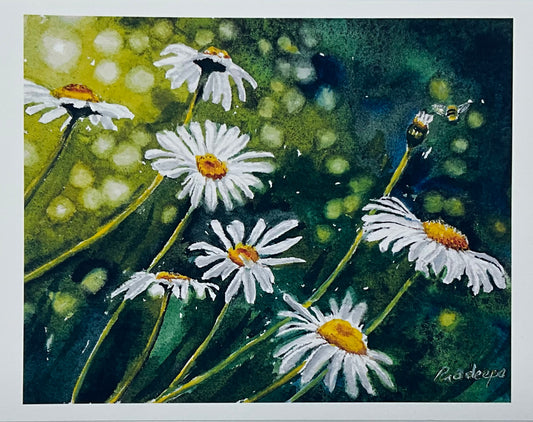 Shining Daisies -8x10 inch fine art print- signed &limited edition