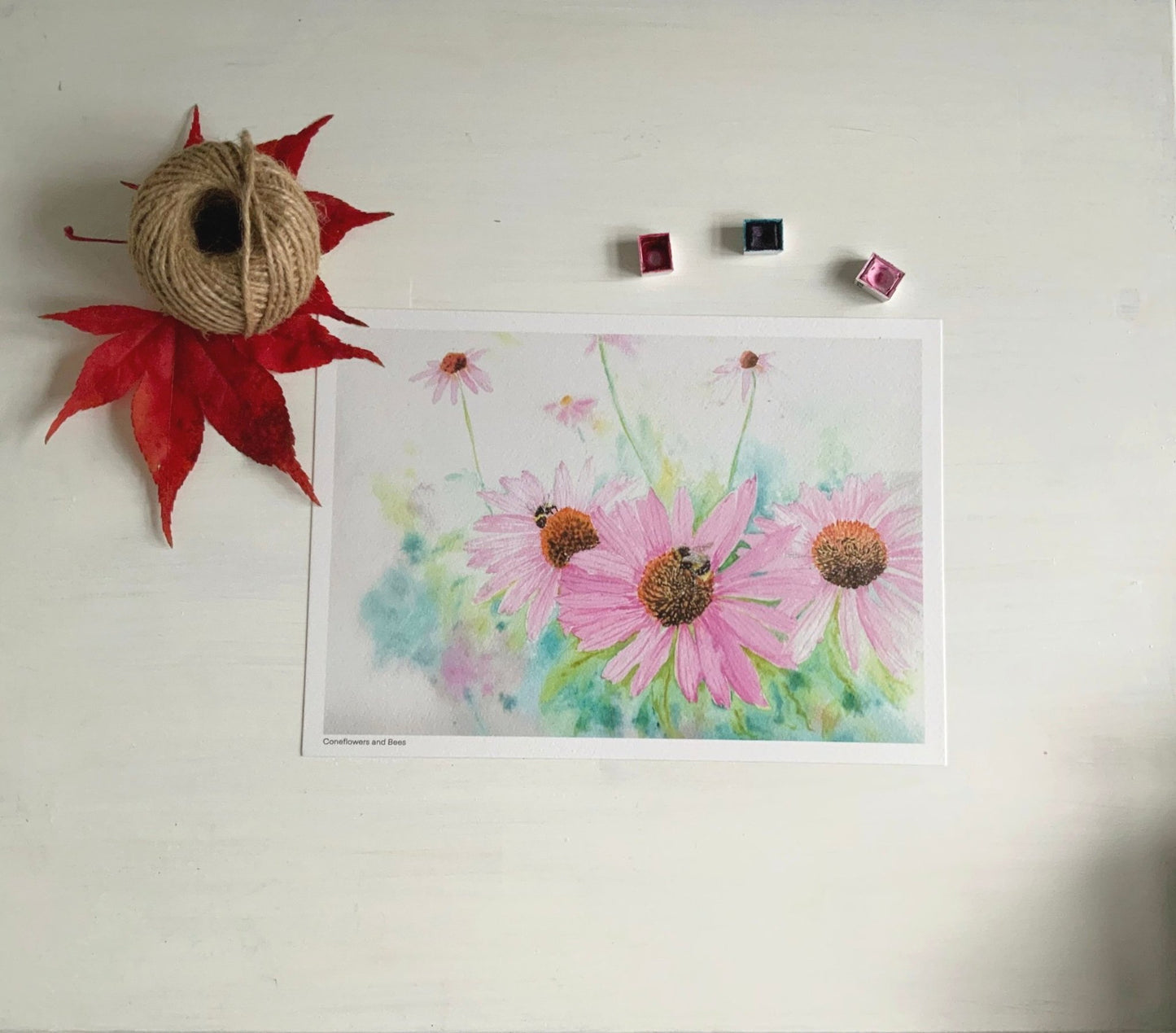Coneflowers and Bees- Signed Art Print