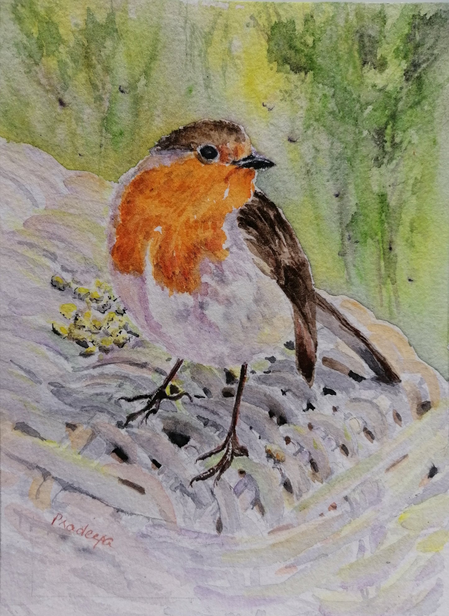 Robin on the Lookout- Original Framed Watercolour painting
