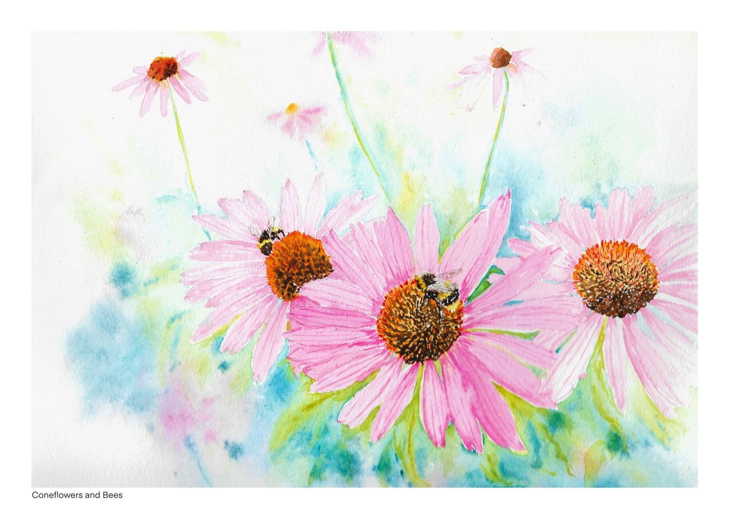 Coneflowers and Bees- Signed Art Print